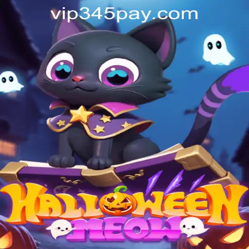 HalloweenMeow: A Spooktacular Adventure